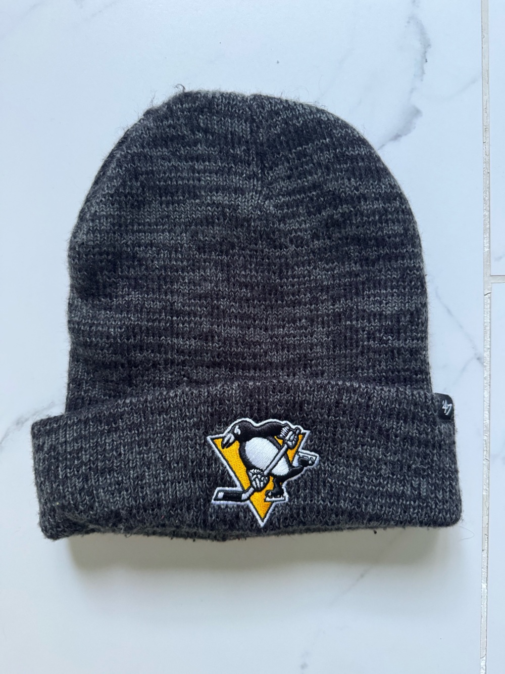 Pittsburgh Penguins Gray Knit Beanie